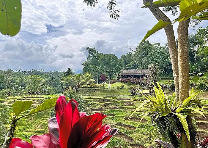 Sang Tirta ホテル バリ島
